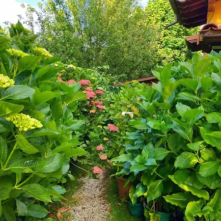 La Casita De Flores Holiday home