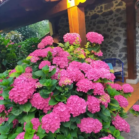 La Casita De Flores *