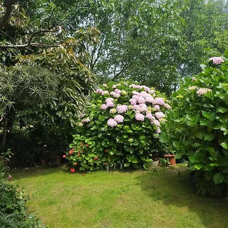 Nyaraló La Casita De Flores *