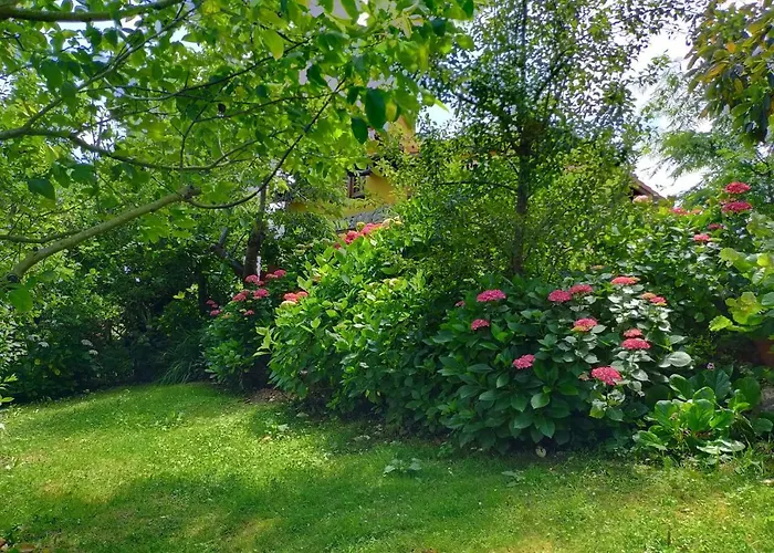 La Casita De Flores Nyaraló Monte Miravalles