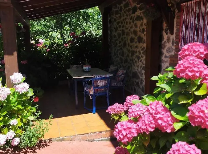 La Casita De Flores *