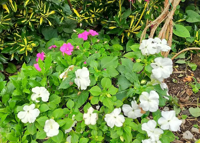 La Casita De Flores Holiday home Monte Miravalles