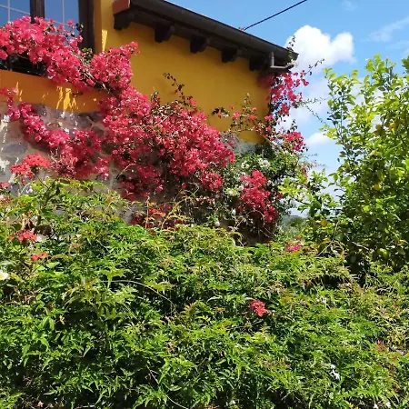 La Casita De Flores * Monte Miravalles