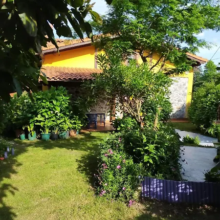 La Casita De Flores *