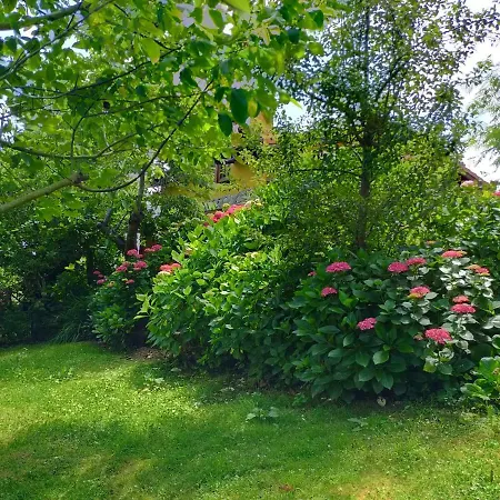 La Casita De Flores Vakantiehuis Monte Miravalles