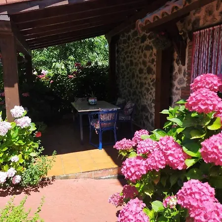 La Casita De Flores *