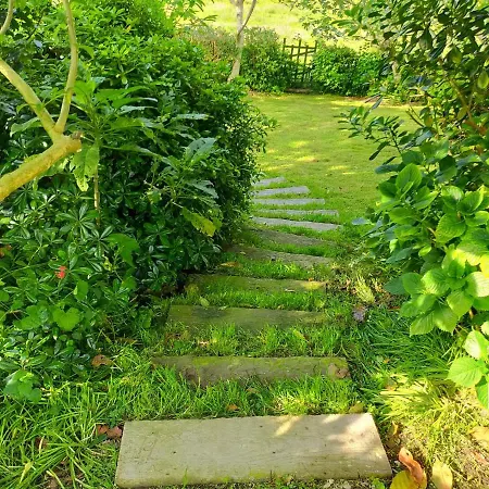 La Casita De Flores Vakantiehuis *