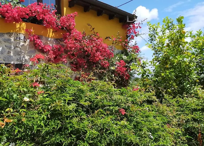 La Casita De Flores * Monte Miravalles