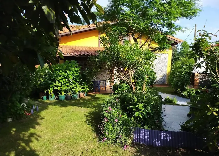 La Casita De Flores *