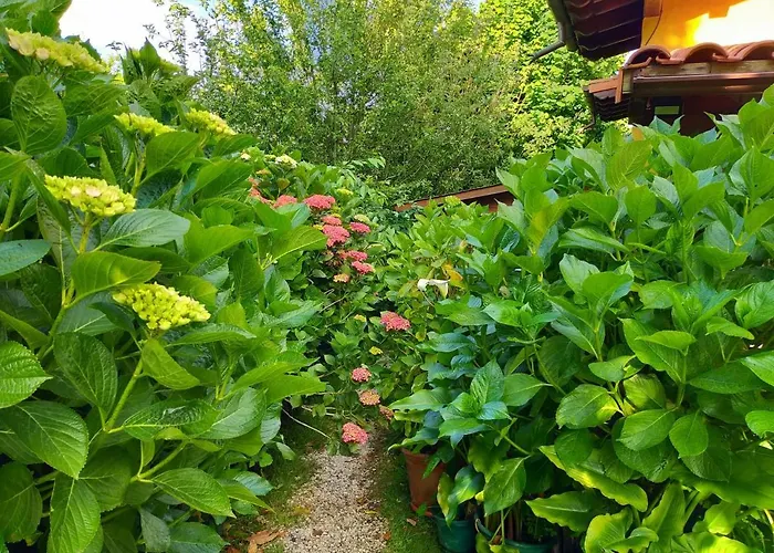 La Casita De Flores Casa vacanze